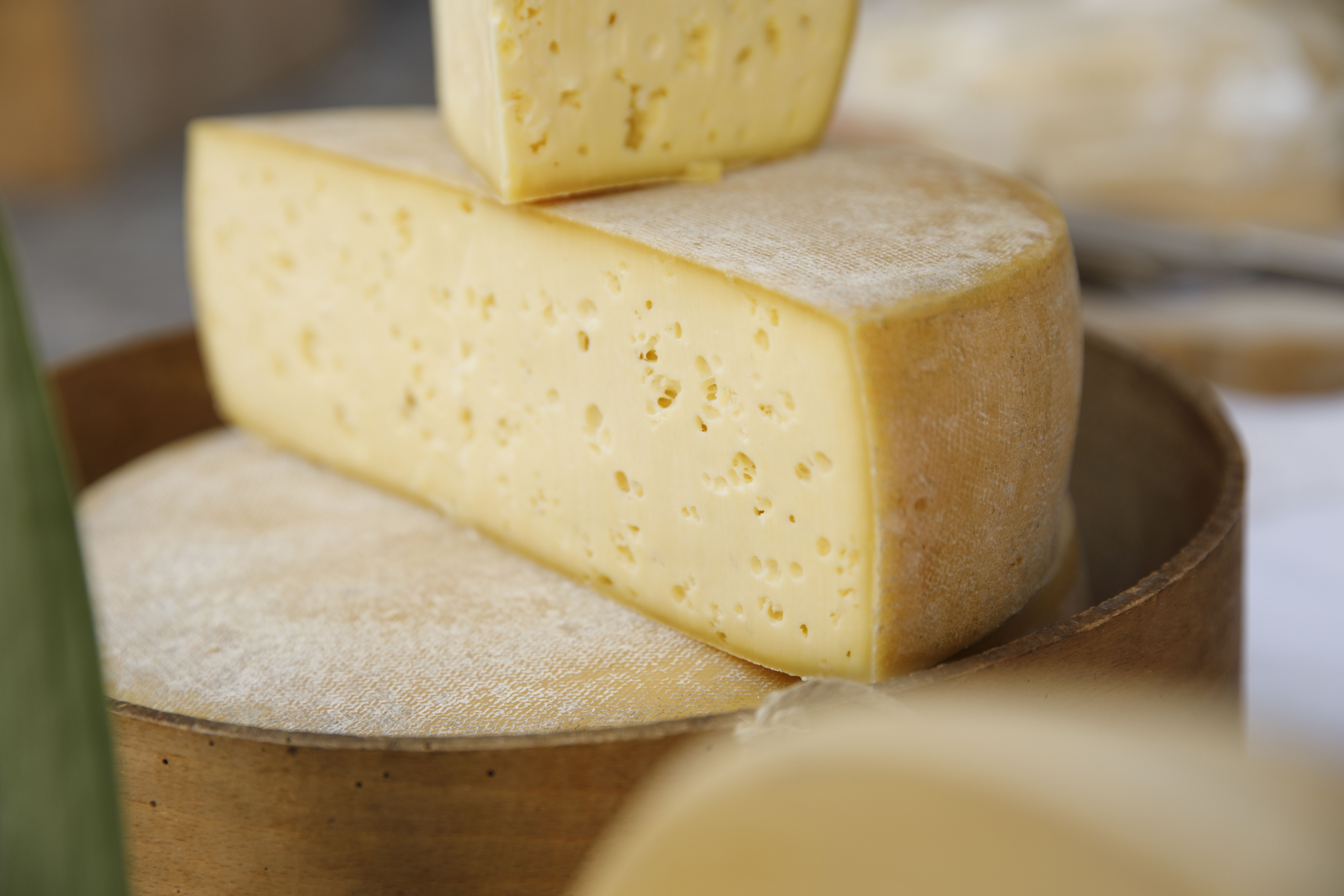 Queijo do Serro tem a identidade fortalecida e impulsiona a economia local