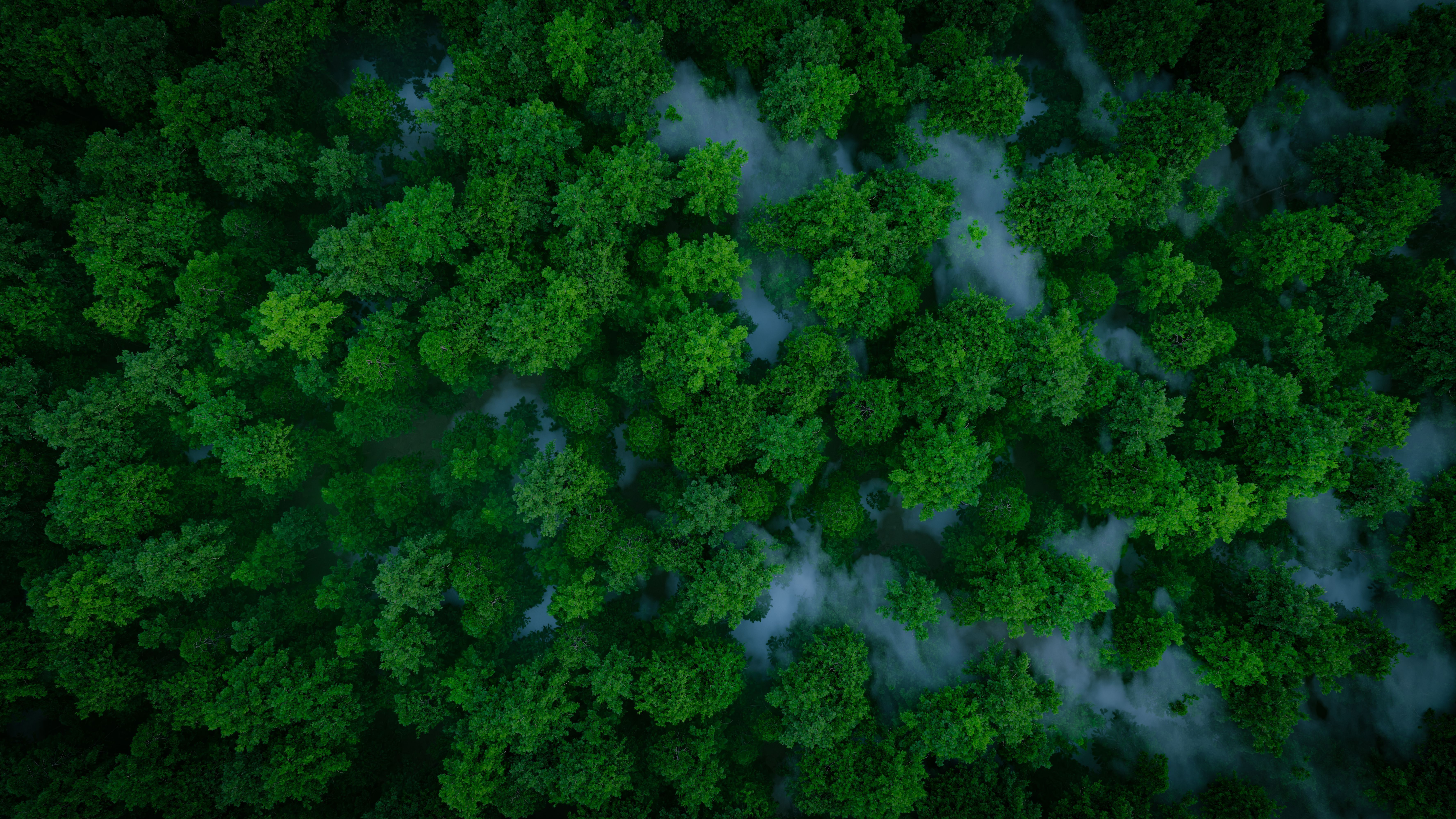 Compromisso com o futuro sustentável impulsiona projetos da Cedro Participações