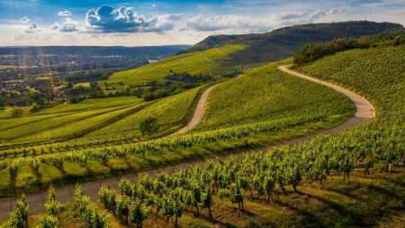 Itália lança projeto para proteger agro local contra empresas multinacionais