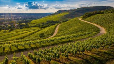 Itália lança projeto para proteger agro local contra empresas multinacionais