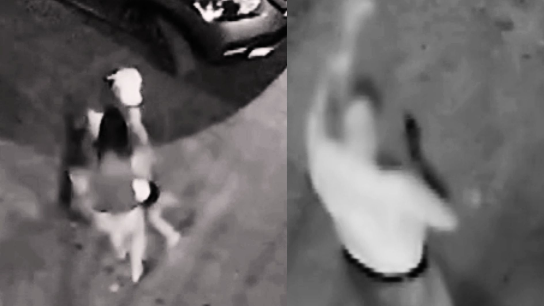 Vídeo: pitbull foge e ataca criança com autismo na Bahia