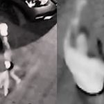 Vídeo: pitbull foge e ataca criança com autismo na Bahia
