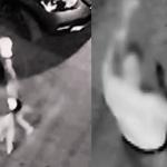 Vídeo: pitbull foge e ataca criança com autismo na Bahia