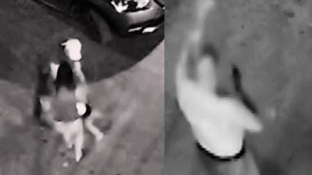Criança com autismo fica ferida após ser atacada por cachorro da raça pitbull na Bahia