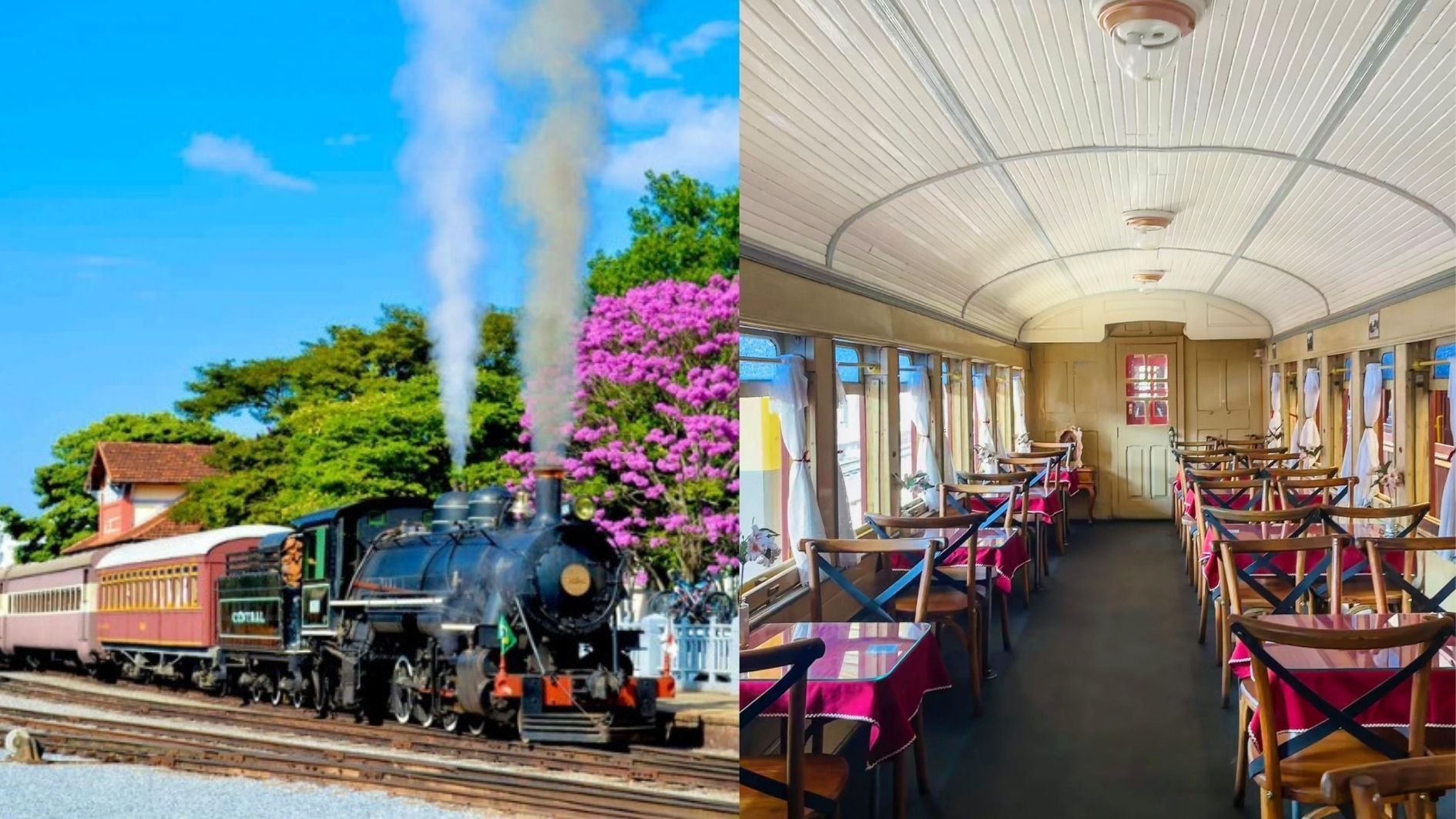 Trem gastronômico no Sul de Minas oferece passeio com comidas e bebidas inclusas; confira