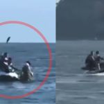 Assalto em alto-mar: PM prende homem que usou jetski para roubar casal em praia de SP