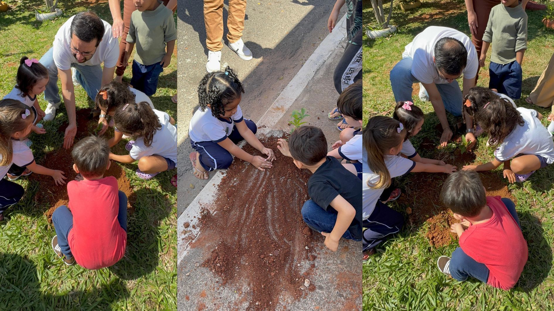 'Raízes do Futuro': projeto incentiva crianças a plantar árvores em Araxá, interior de MG