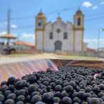 Cachoeira do Campo celebra os sabores e a cultura da jabuticaba