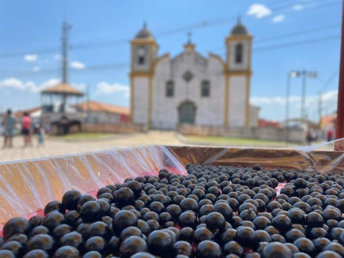 Reprodução Festa da Jabuticaba