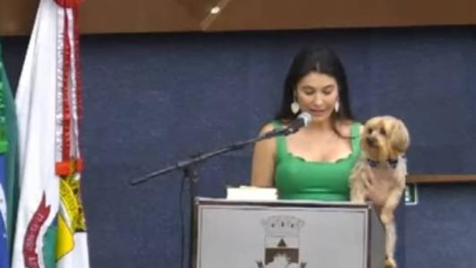 Janaina Cardoso (União) tomou posse nesta segunda-feira (13), na Câmara de BH