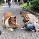 Japonês que gastou R$ 70 mil para se 'transformar' em cachorro faz 1º passeio; veja