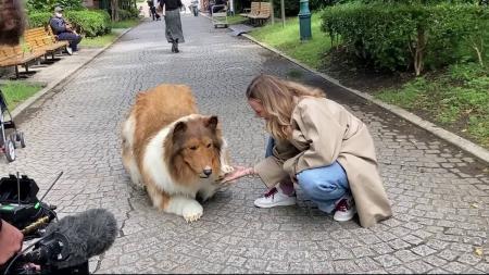 Japonês que gastou R$ 70 mil para se "transformar" em cachorro faz 1º passeio; veja.