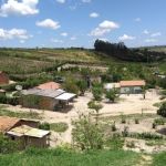 Sobrinho mata tio com golpes de machado após briga familiar, no interior de Minas