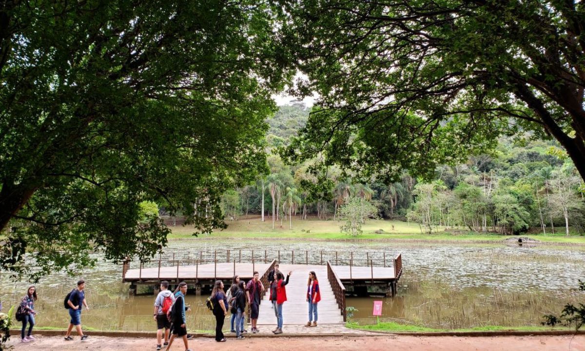 Jardim Botânico da UFJF abre vagas para monitores de educação ambiental
