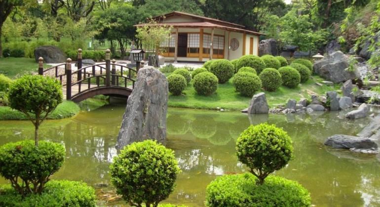 Zoológico de BH terá degustação gratuita de chás no Jardim Japonês neste sábado (27)