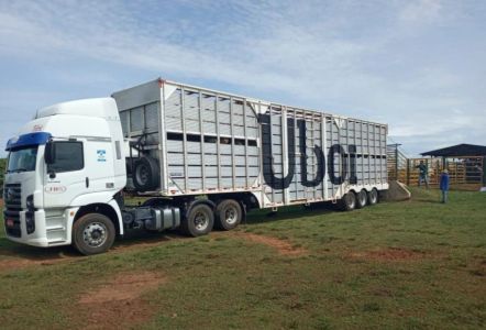A empresa JBS transporta os animais e caminhões climatizados