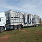 Greve dos caminhoneiros vai provocar colapso da carne bovina