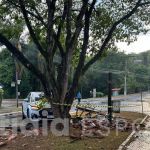 Atlético: Jemerson se pronuncia após acidente de carro e tranquiliza fãs