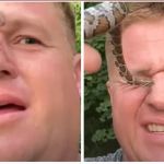 Influenciador deixa-se picar por cobra mais de 50 vezes; veja vídeo e entenda os riscos