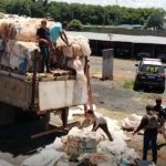 Polícia apreende 1,3 tonelada de maconha na Região Centro-Oeste de Minas