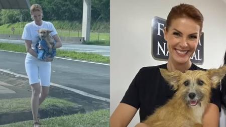 Joaquim 'salvou' Ana Hickmann das agressões do marido