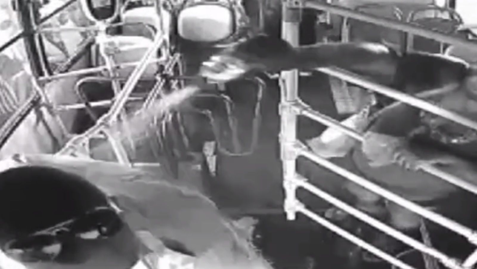 Vídeo: mulher é presa após jogar querosene e tentar atear fogo em ex-marido em ônibus