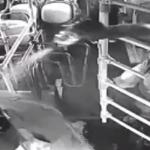 Vídeo: mulher é presa após jogar querosene e tentar atear fogo em ex-marido em ônibus