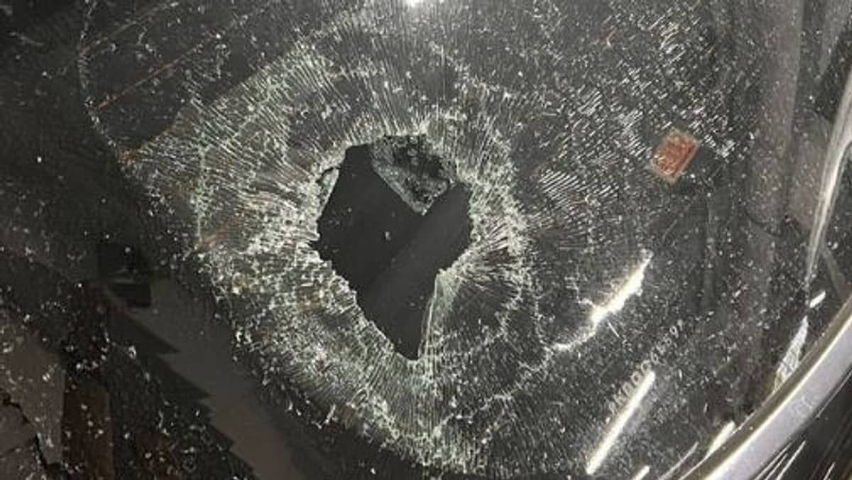 Goleiro do Figueirense denuncia vandalismo de torcedor após derrota em clássico