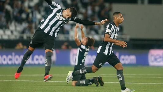 Jogadores do Botafogo, líder do Campeonato Brasileiro, comemorando no Estádio Nilton Santos