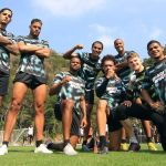 Botafogo tem reforço contra o Coritiba para defender a liderança da Série A