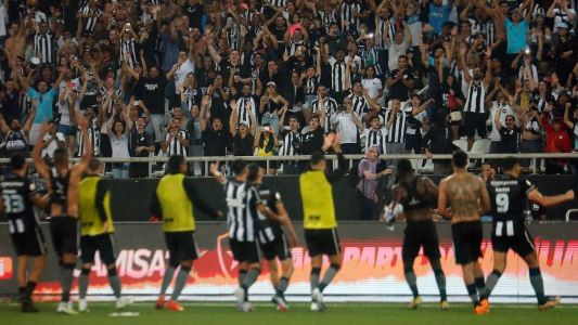 Jogadores do Botafogo comemorando com a torcida no Nilton Santos