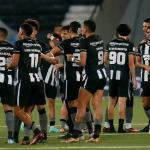 Botafogo tem chance de igualar recorde histórico do Brasileirão
