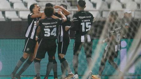 Jogadores do Botafogo comemorando no Estádio Nilton Santos