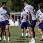 Cruzeiro divulga relacionados para jogo contra o Grêmio sem meia lesionado
