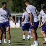 Cruzeiro divulga relacionados para jogo contra o Grêmio sem meia lesionado