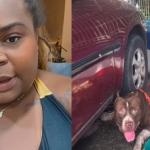 Jojo Todynho adota cachorro abanonado e detona dono antigo: 'agora é muito fácil'