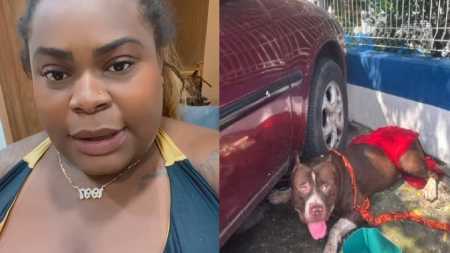 Jojo relatou que o cachorro foi encontrado por uma amiga e ela decidiu adotá-lo