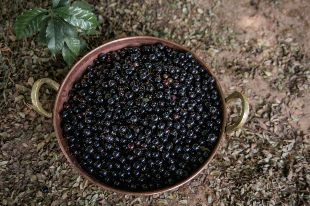 Giro Cultural: fim de semana promete música, gastronomia e tradição em Ouro Preto e Mariana