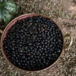 32ª Festa Tradicional da Jabuticaba acontece em novembro em Cachoeira do Campo