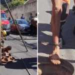 Jovem com tornozeleira eletrônica é resgatado de bueiro no Centro de BH