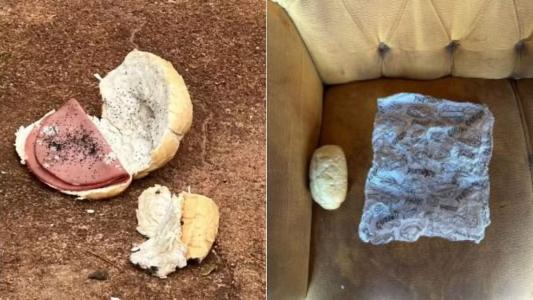 Jovem morre após comer pão com mortadela envenenado por idoso no MT