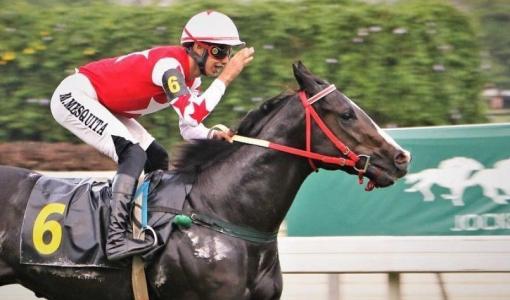 Vídeo: Jóquei sofre acidente durante corrida de cavalo e é internado no Rio de Janeiro | CNN Brasil