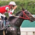 Jóquei sofre acidente durante corrida de cavalos e é internado no Rio de Janeiro