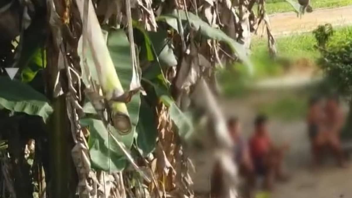 Polícia Federal investiga possível esquema de tráfico humano que levava indígenas para a Turquia