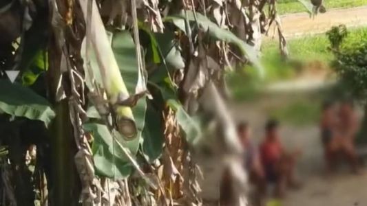 Jovens tinham aulas de árabe e turco antes de embarcarem