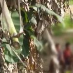 Polícia Federal investiga possível esquema de tráfico humano que levava indígenas para a Turquia