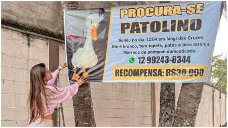 Júlia precisou retirar a placa porque estava recebendo trotes no número divulgado