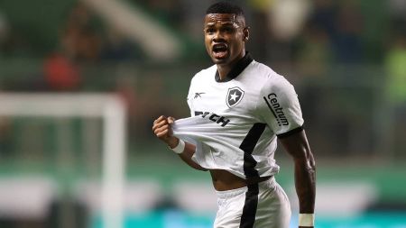 Júnior Santos marcou dois golaços e decidiu vitória do Botafogo