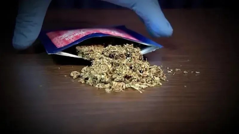 Droga K9: especialistas explicam o que é, efeitos colaterais e principais riscos da 'droga zumbi'
