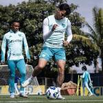 Cruzeiro enfrenta o Fluminense no Rio de olho na ponta do Brasileirão